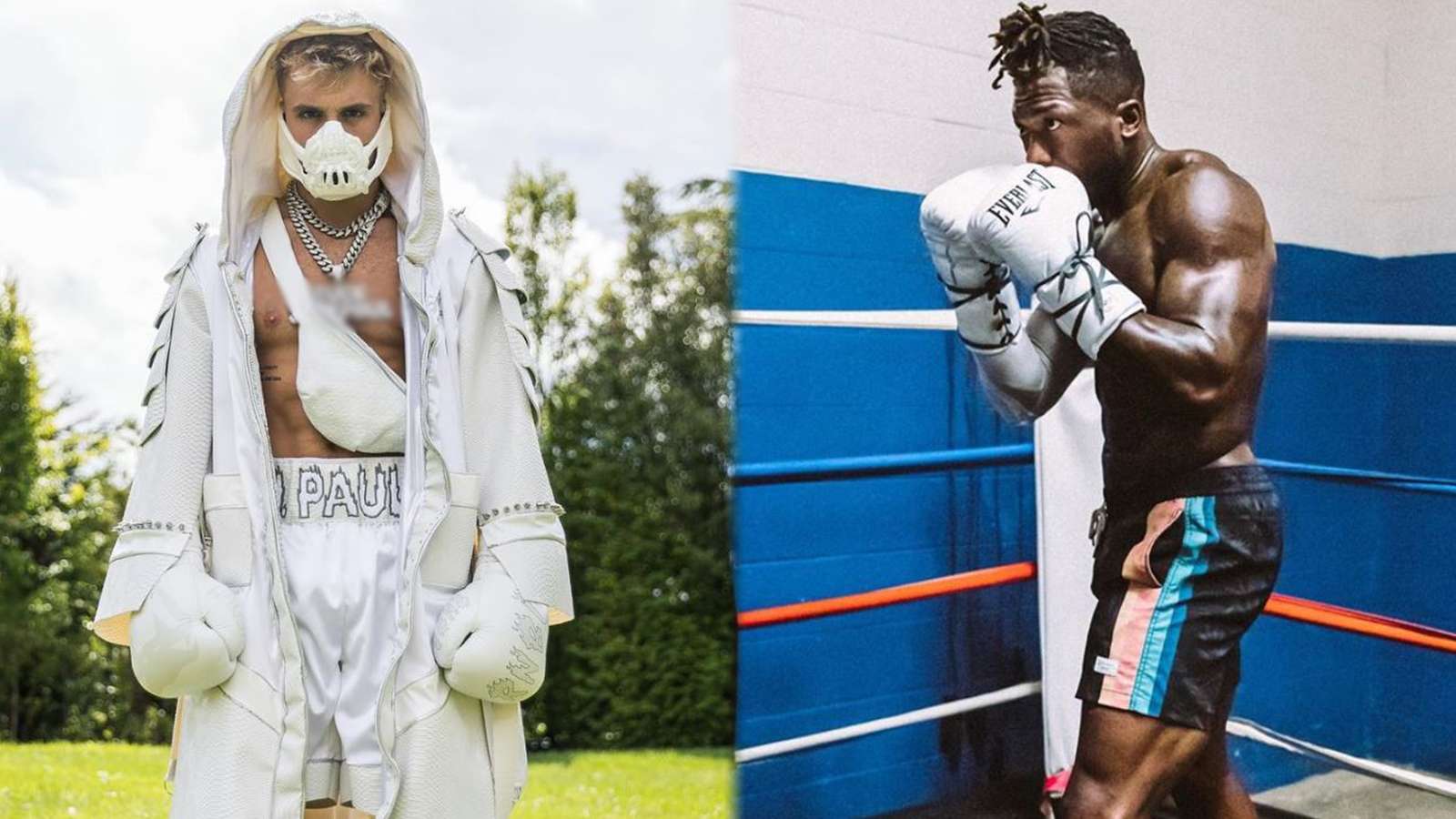 Jake Paul and Nate Robinson pose in boxing gear