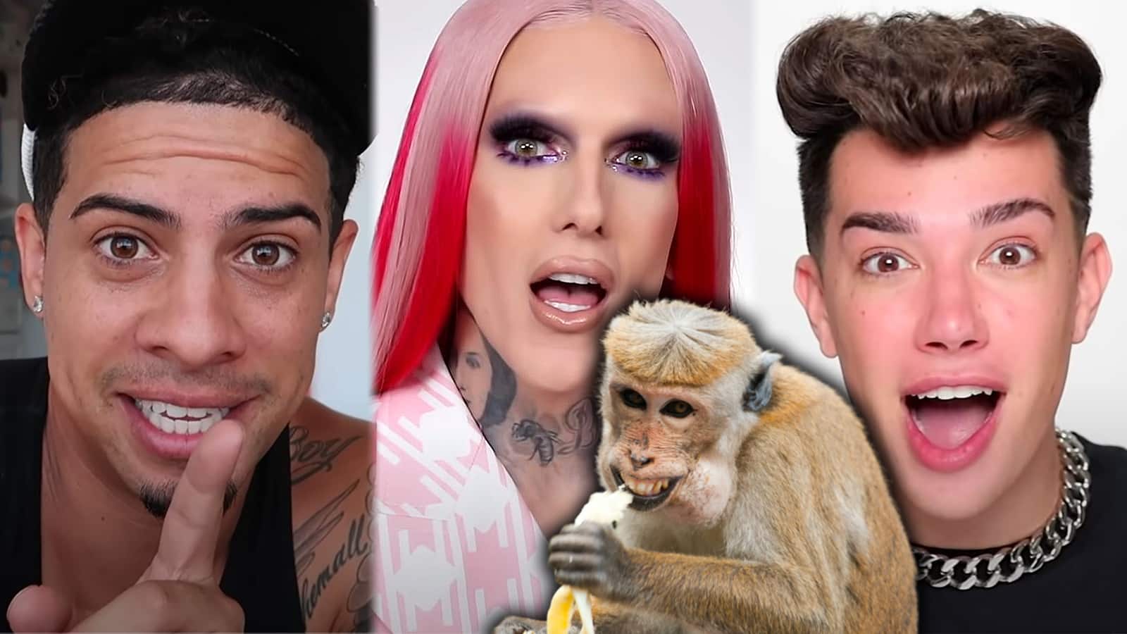 Jeffree Star James Charles Austin McBroom animal handler bananas monkey