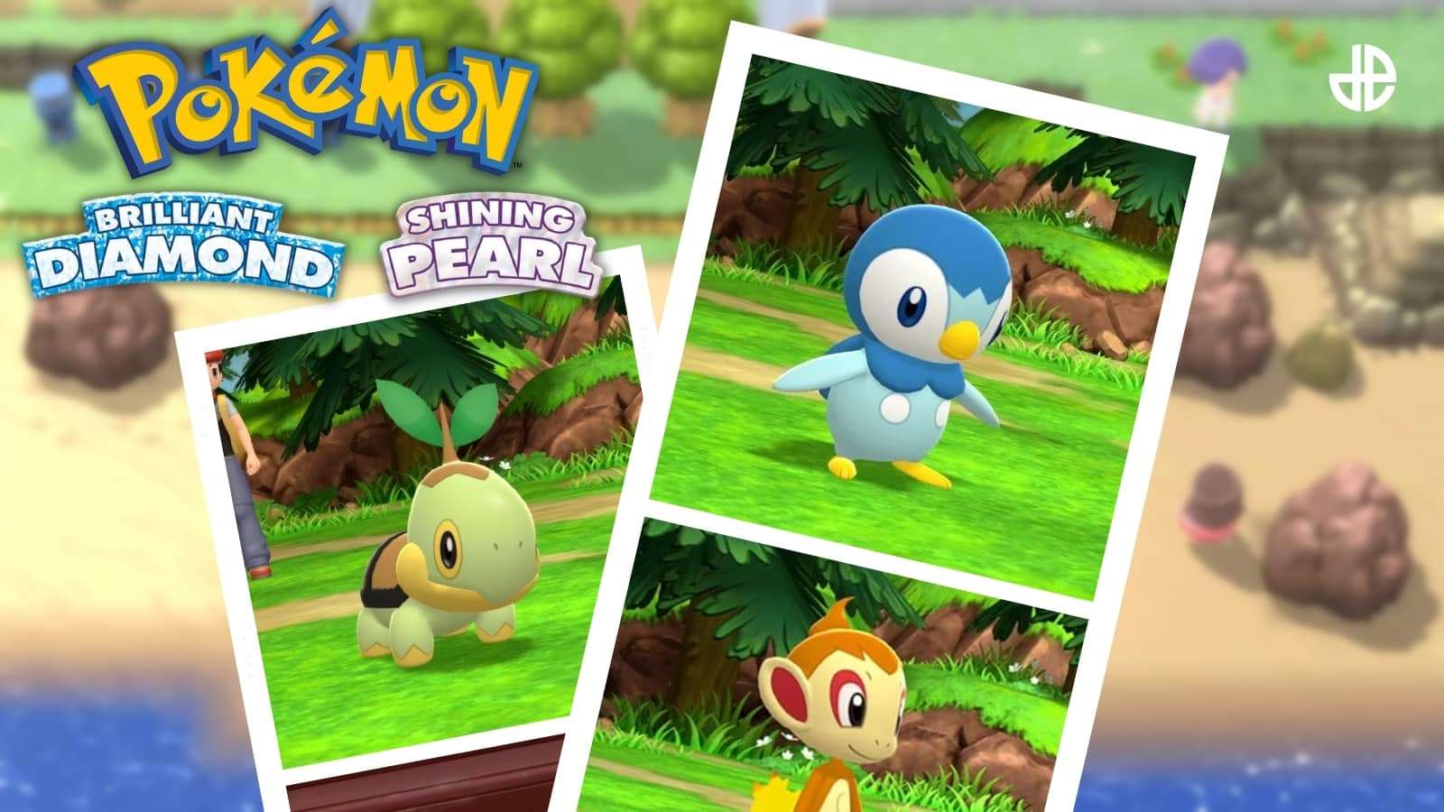 pokemon brilliant diamond & shining pearl starters