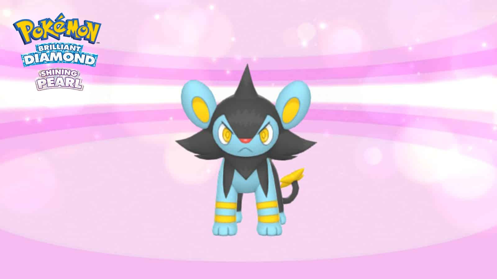 Luxray reaching high friendship in Pokemon Brilliant Diamond and Shining Pearl