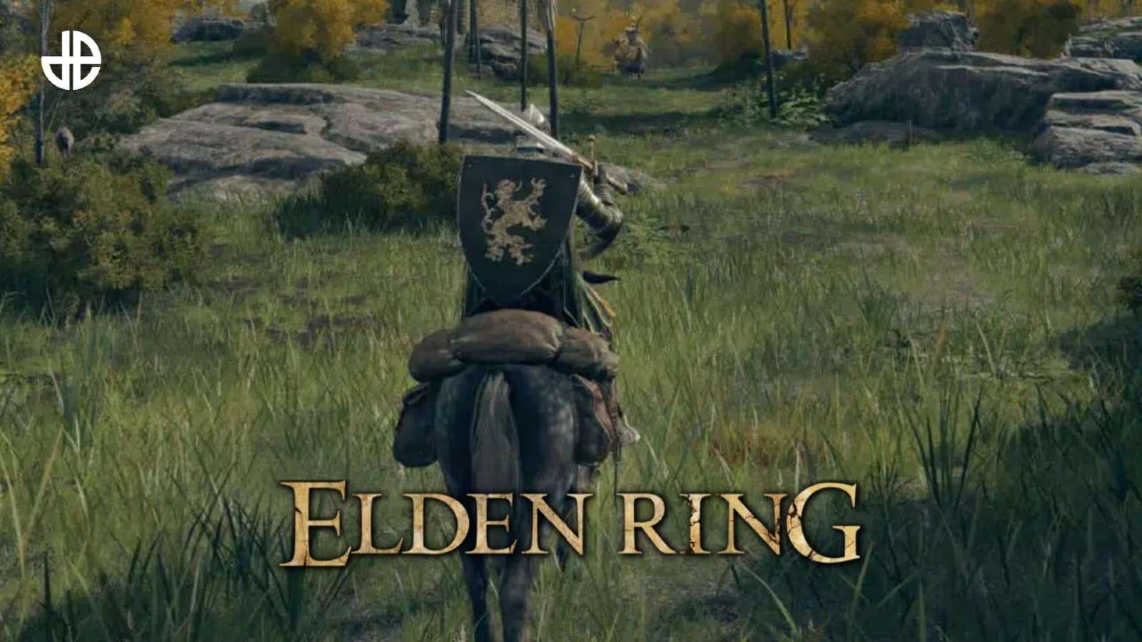 Elden ring speedrunner