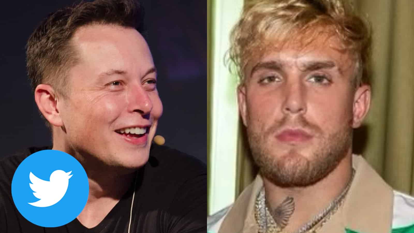 jake paul defends elon musk