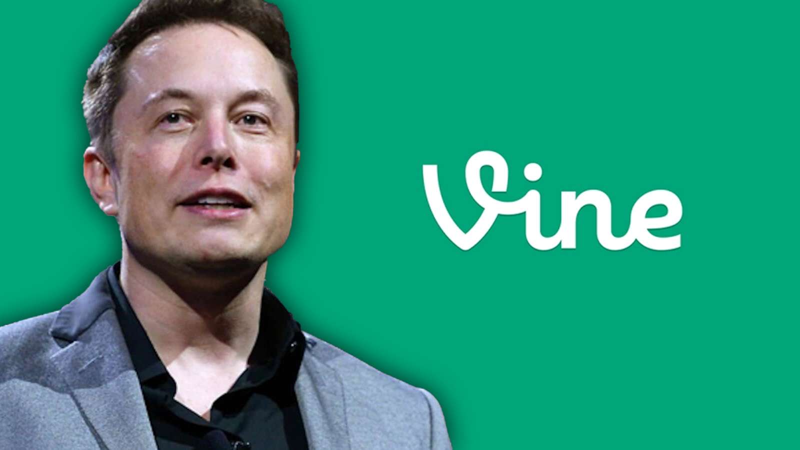 Is Vine coming back? Elon Musk sparks rumors after Twitter takeover