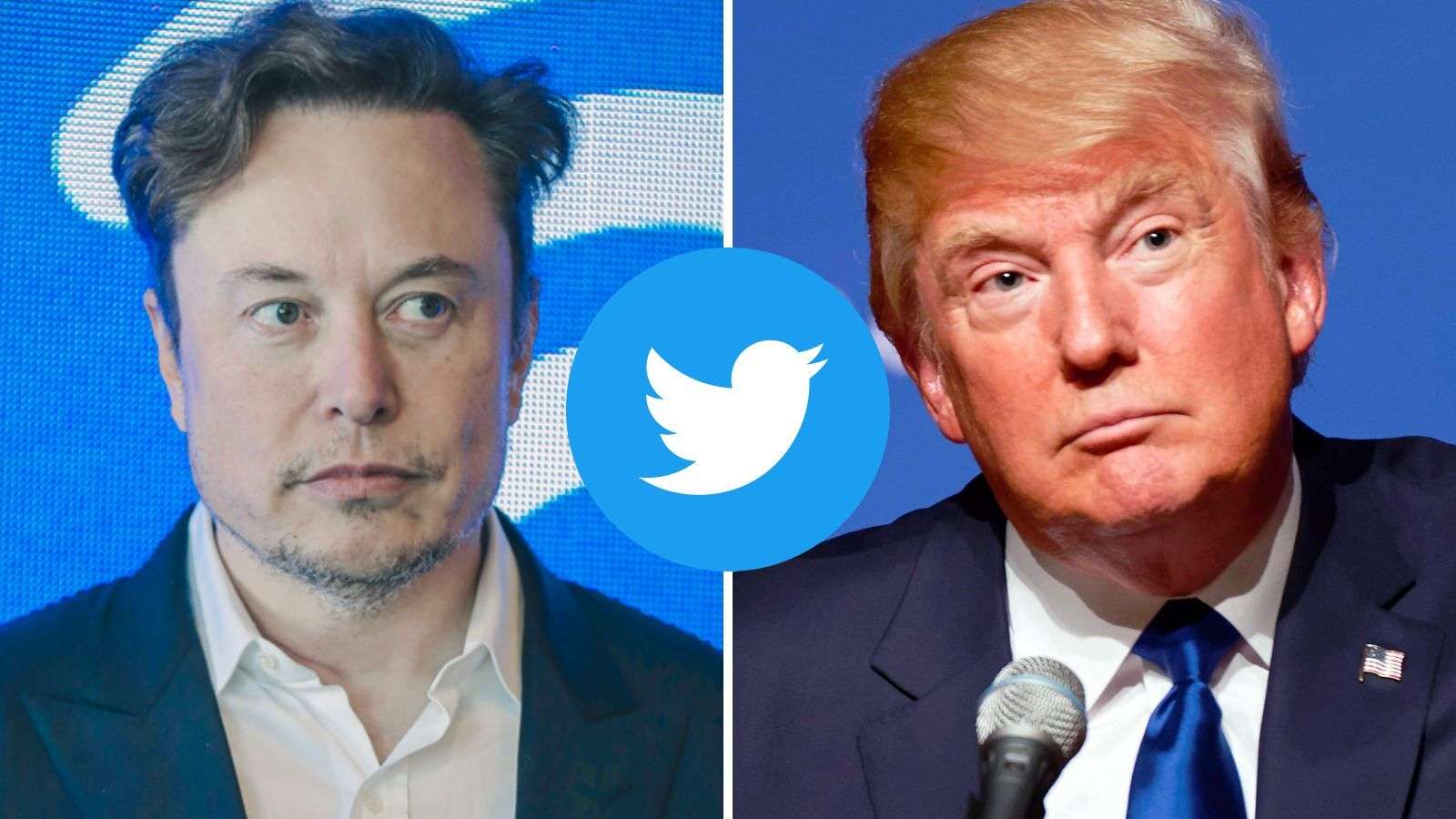 elon musk unbans donald trump on twitter