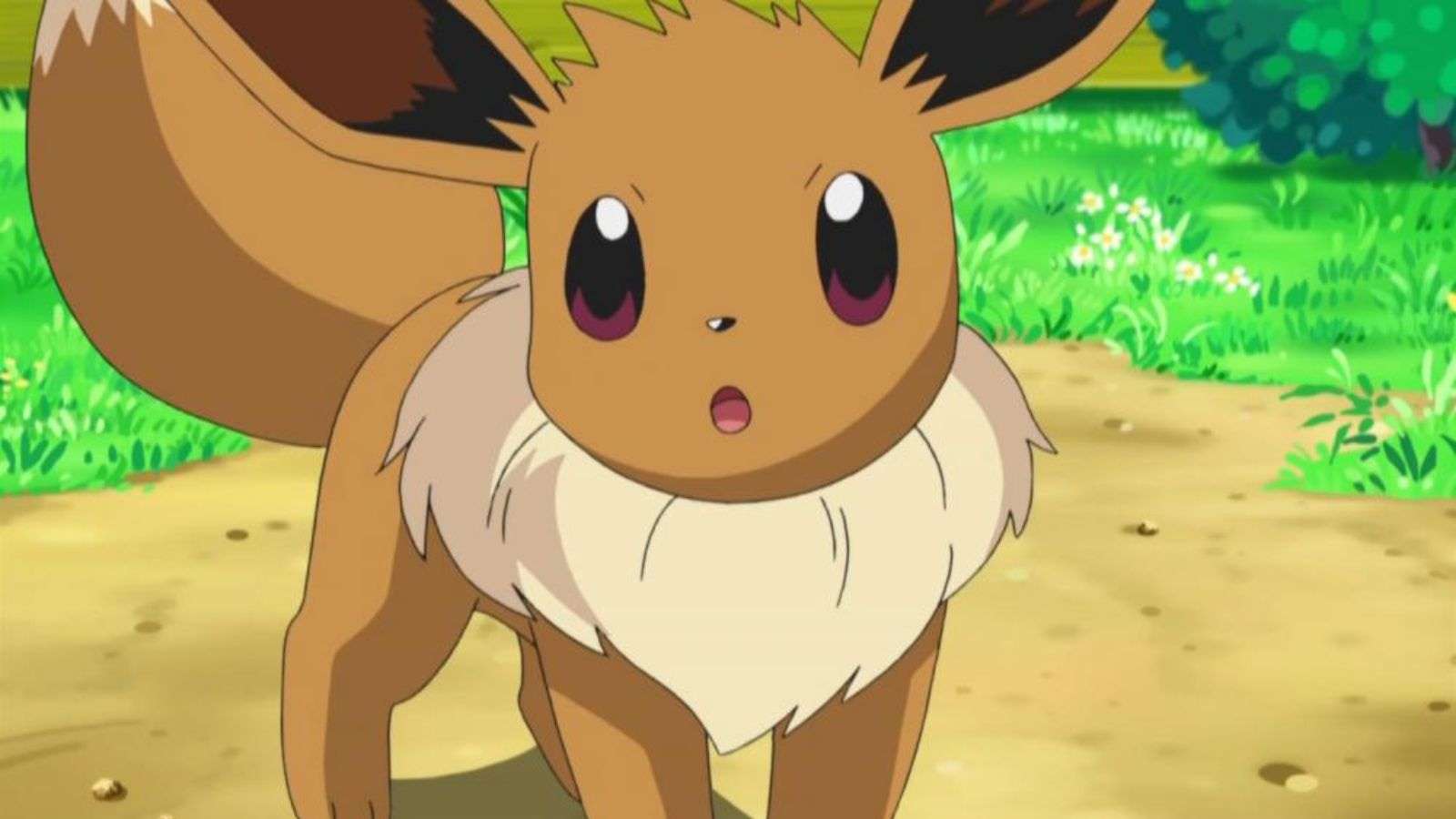 pokemon anime eevee header