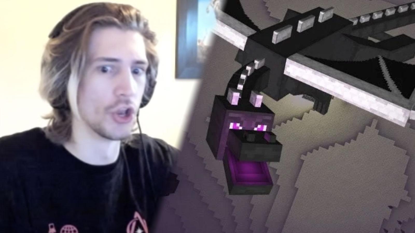 Epic Minecraft the End 