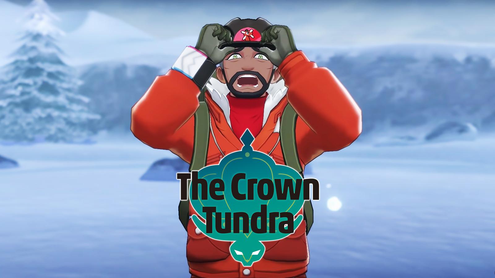 Pokémon Sword and Shield: The Crown Tundra review – a light