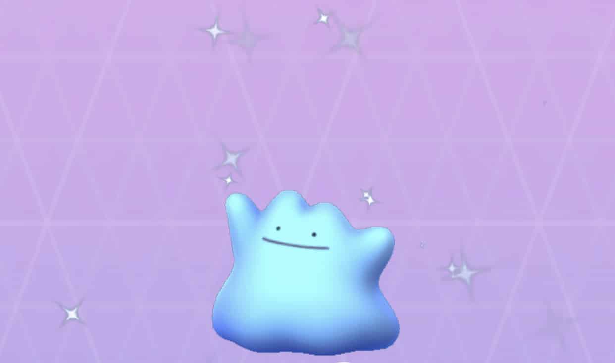 Ditto Transforms! The weirdest and most wonderful Pokemon