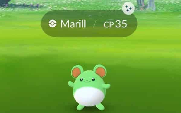 Shiny Marill Pokemon go