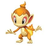 chimchar pokemon