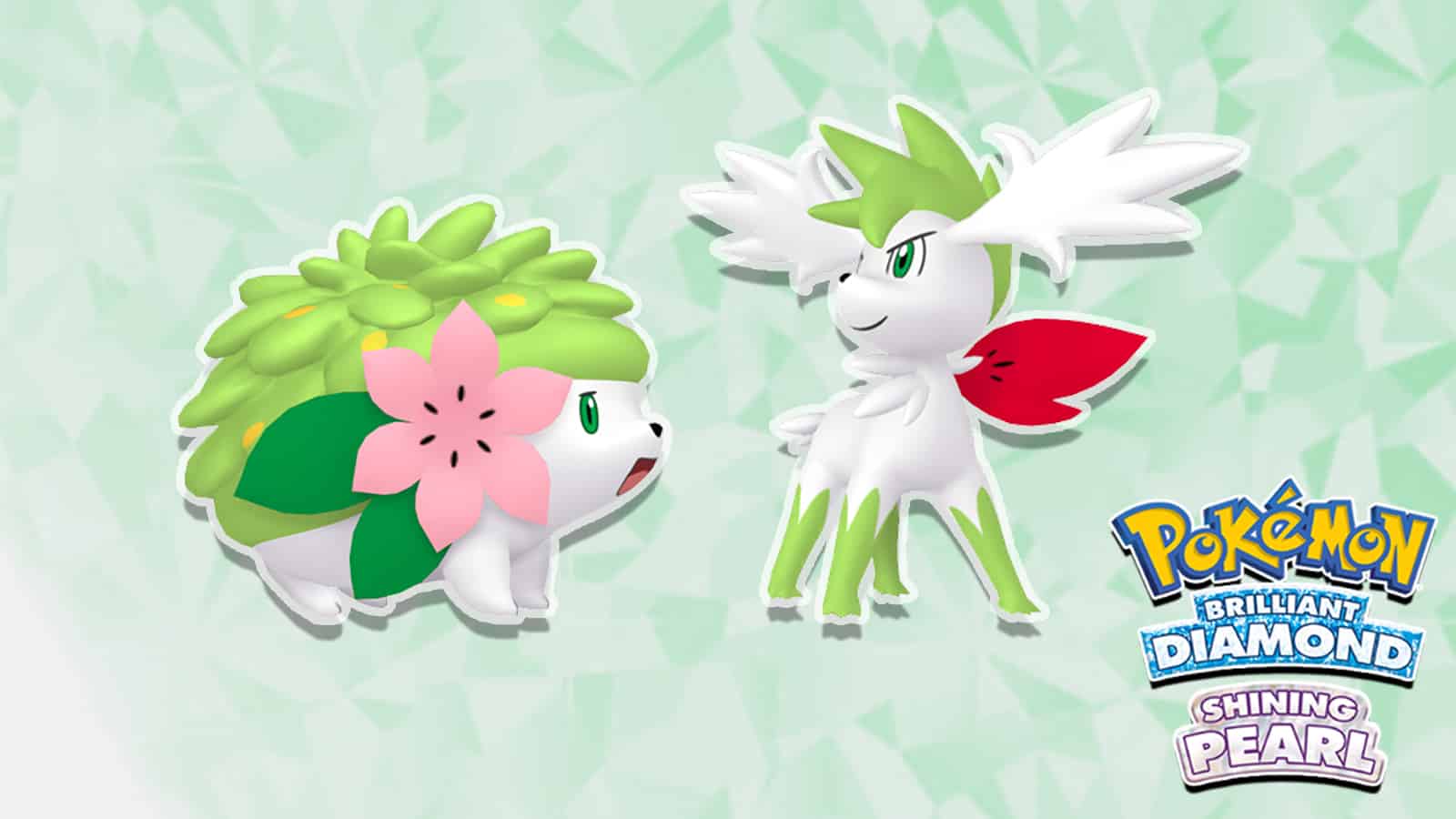 shaymin in pokemon bdsp