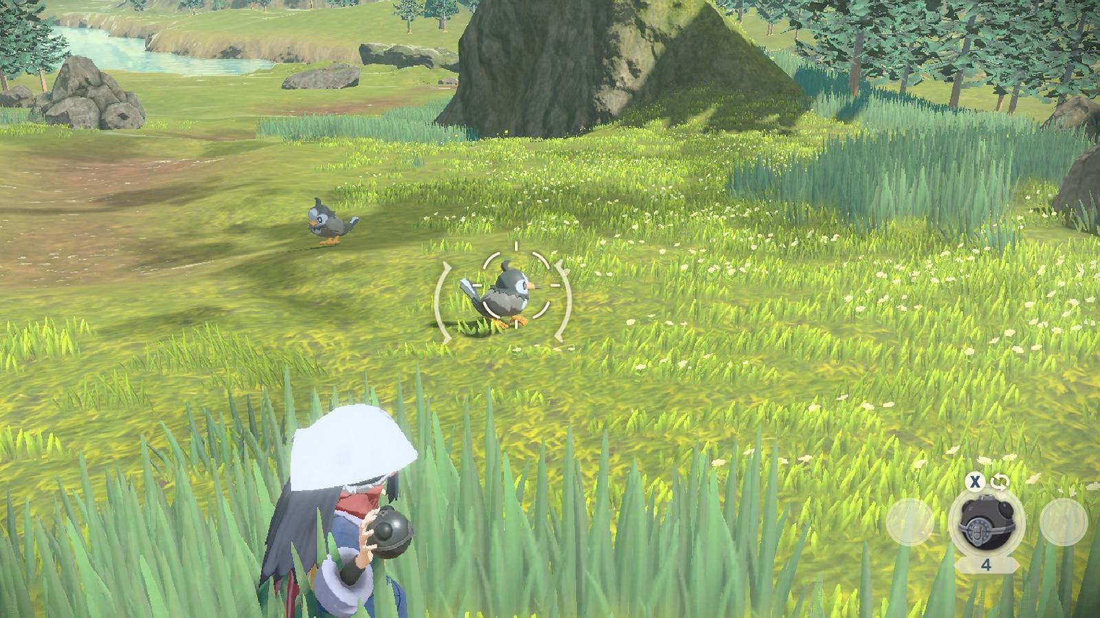 Pokemon Legends Arceus screenshot of Dawn catching Starly