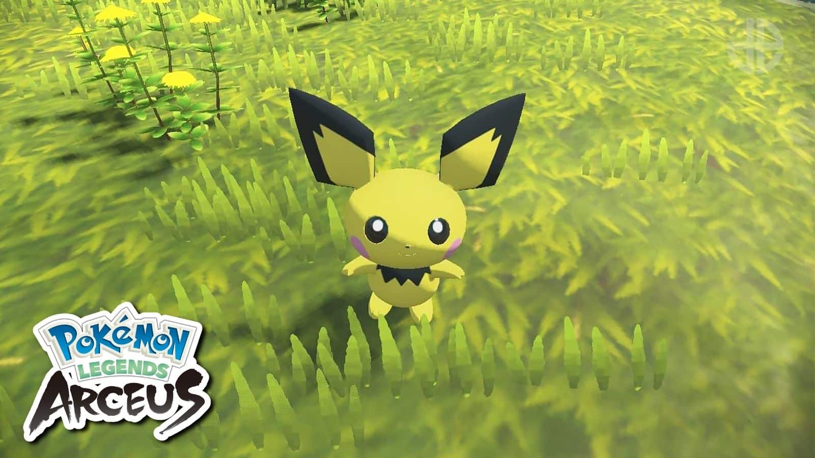 Pokemon Legends Arceus Pichu screenshot.