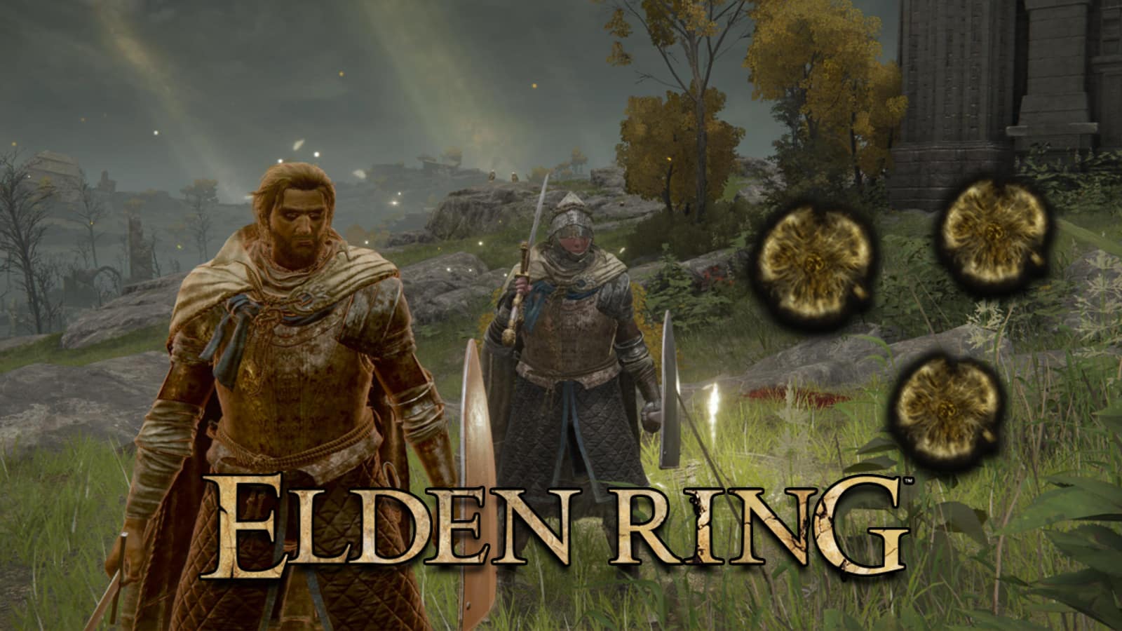 Elden Ring: Bandai Namco rewards the exploits of Let Me Solo Her 