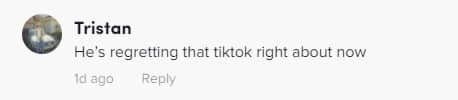 TikTok comment on billie eilish's video
