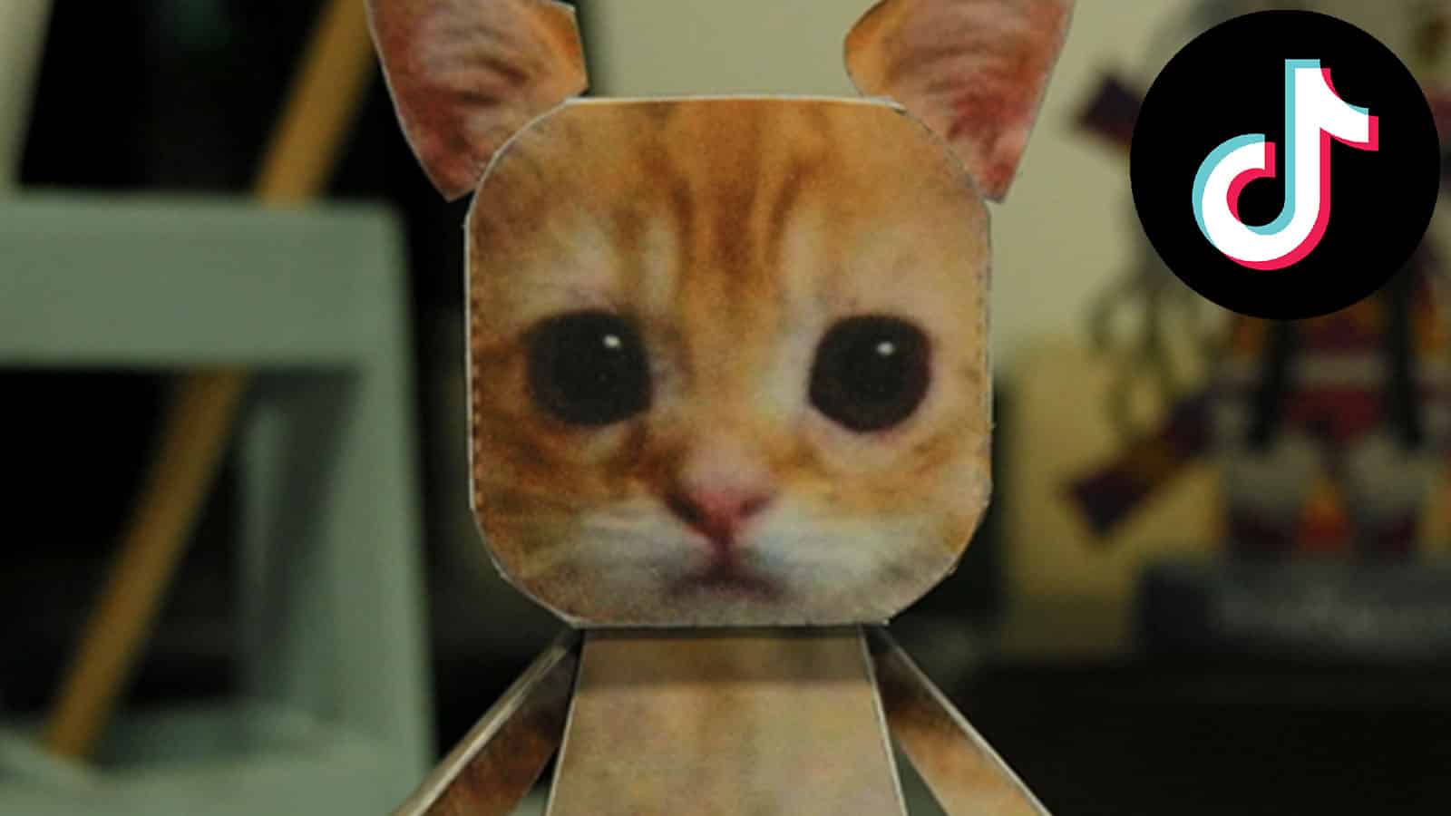 How to get TikTok's viral El Gato Cat printout - Dexerto