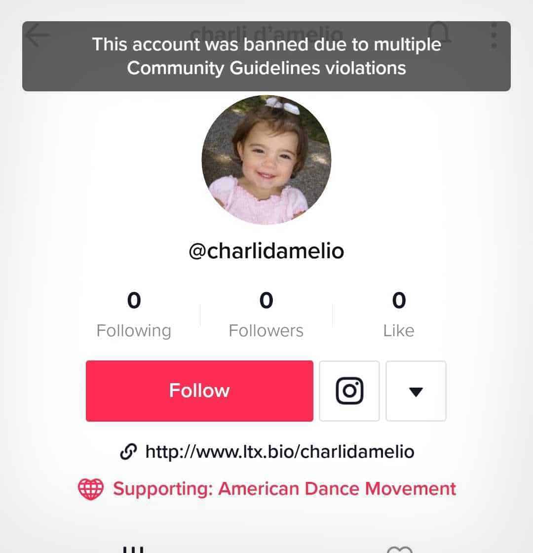 Charli TikTok ban