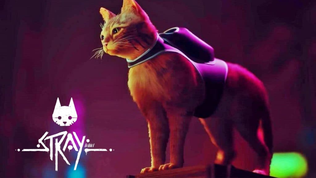 Stray mod lets you play the viral cat game as a dog instead - Dexerto