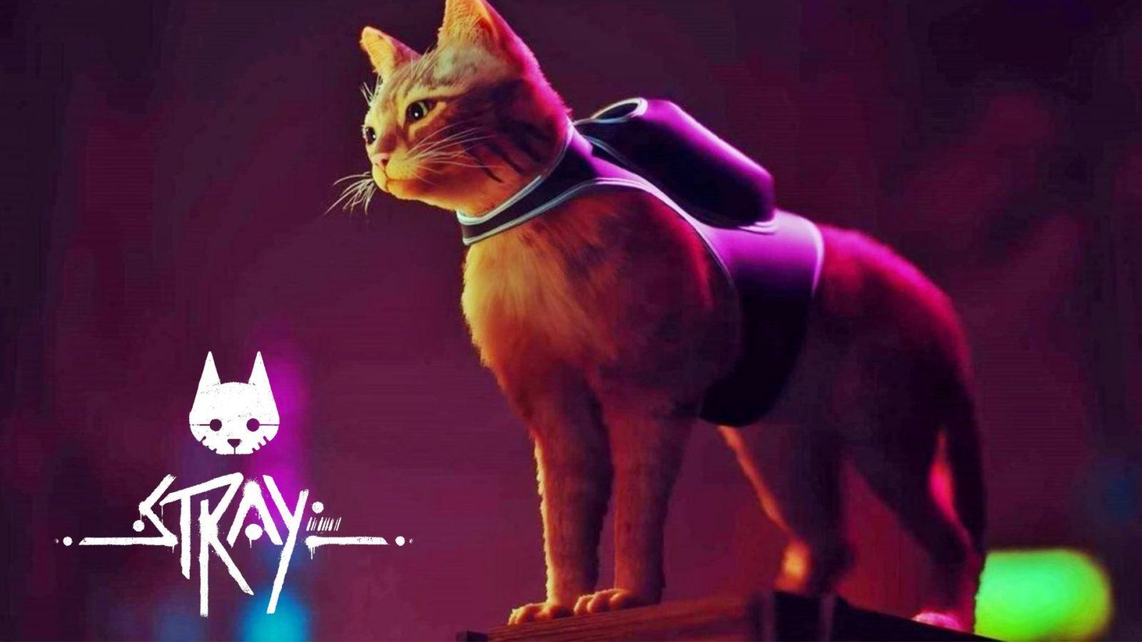 Popular cat game Stray is getting an animated film adaption