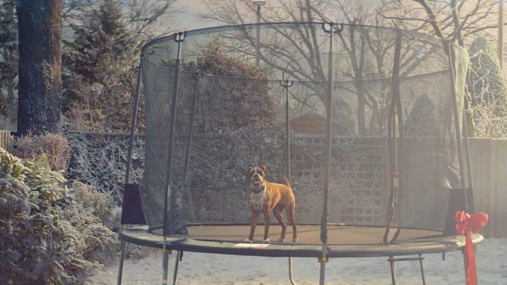 buster the boxer john lewis ad
