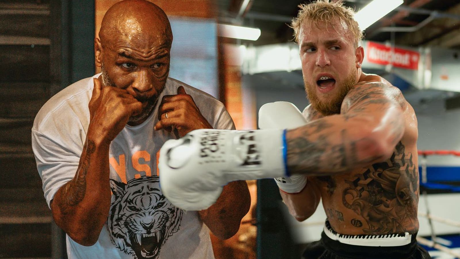 Jake Paul Reveals He's In Talks To Fight Mike Tyson, Says, 45% OFF