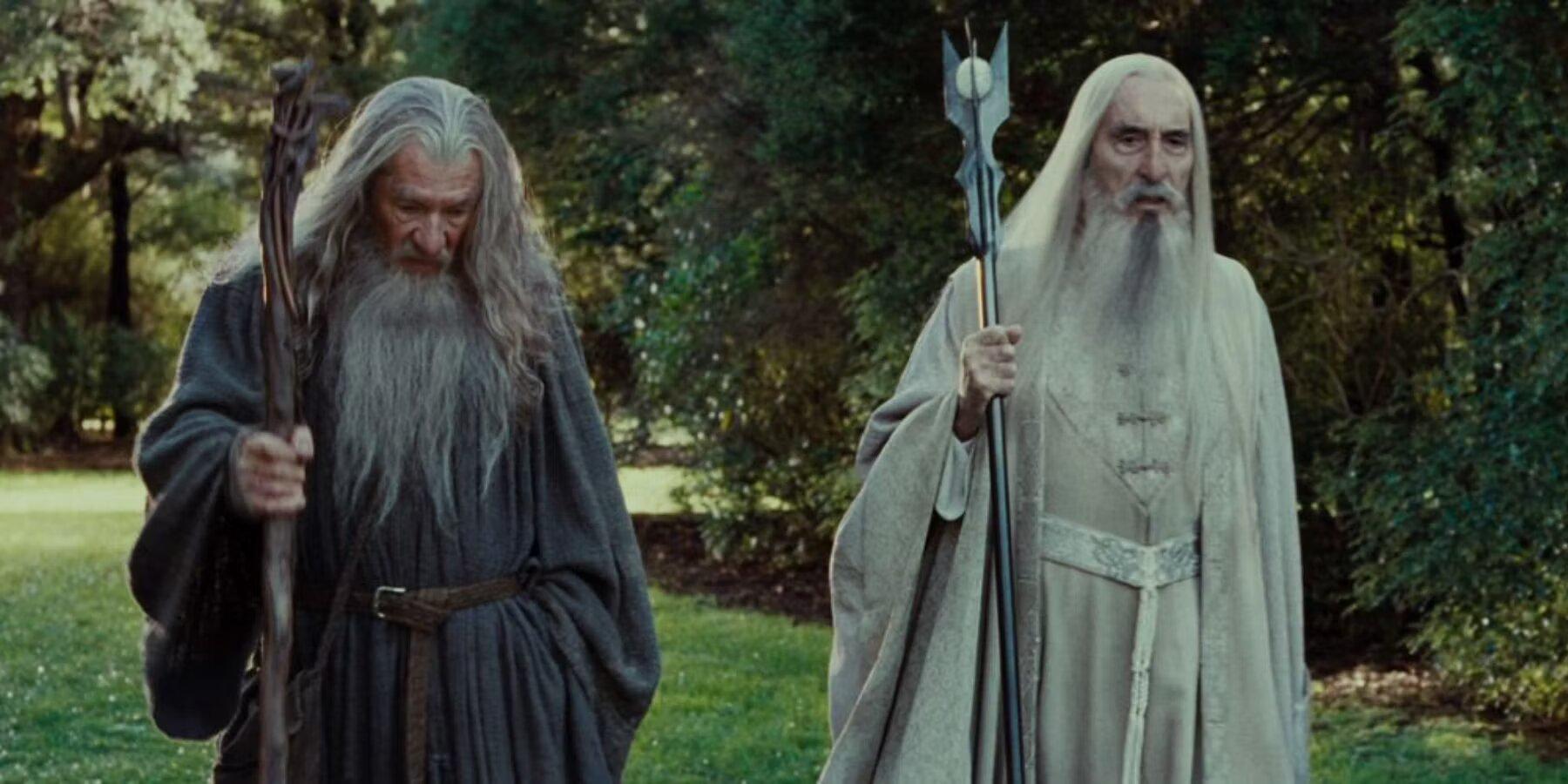 Gandalf and Saruman in Lord of the Rings