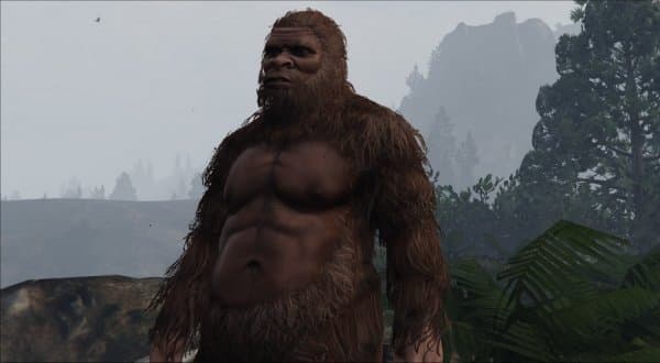 Bigfoot Online