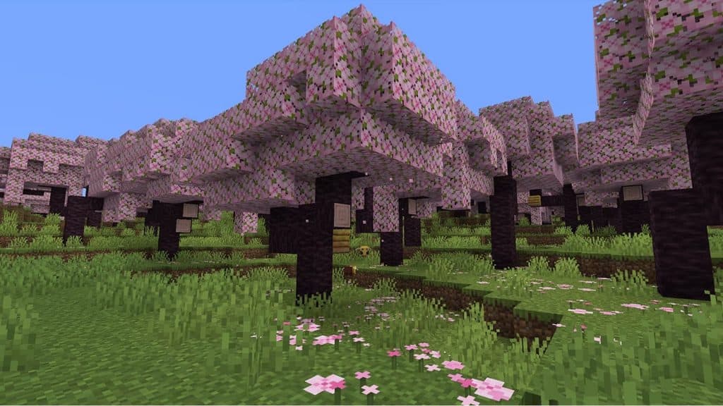 Biome En Bois De Cerisier Minecraft