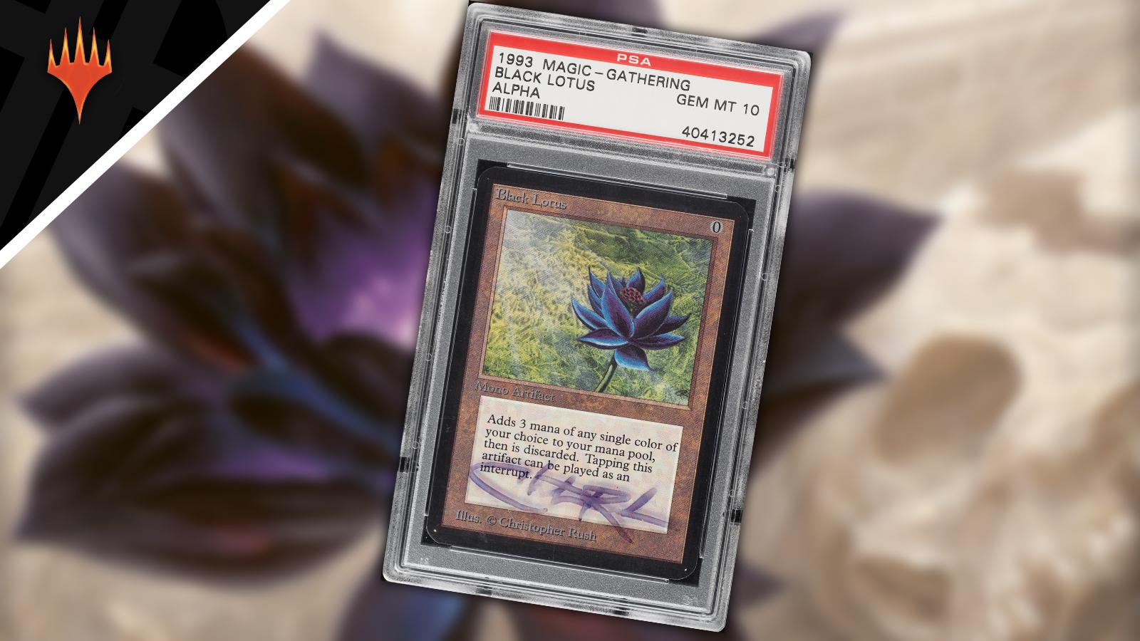 Rare MTG Black Lotus card sells for record-breaking $540k at - Dexerto