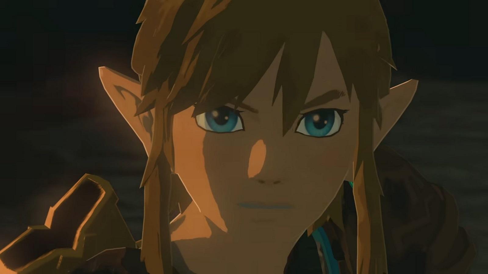 Link staring at the camera