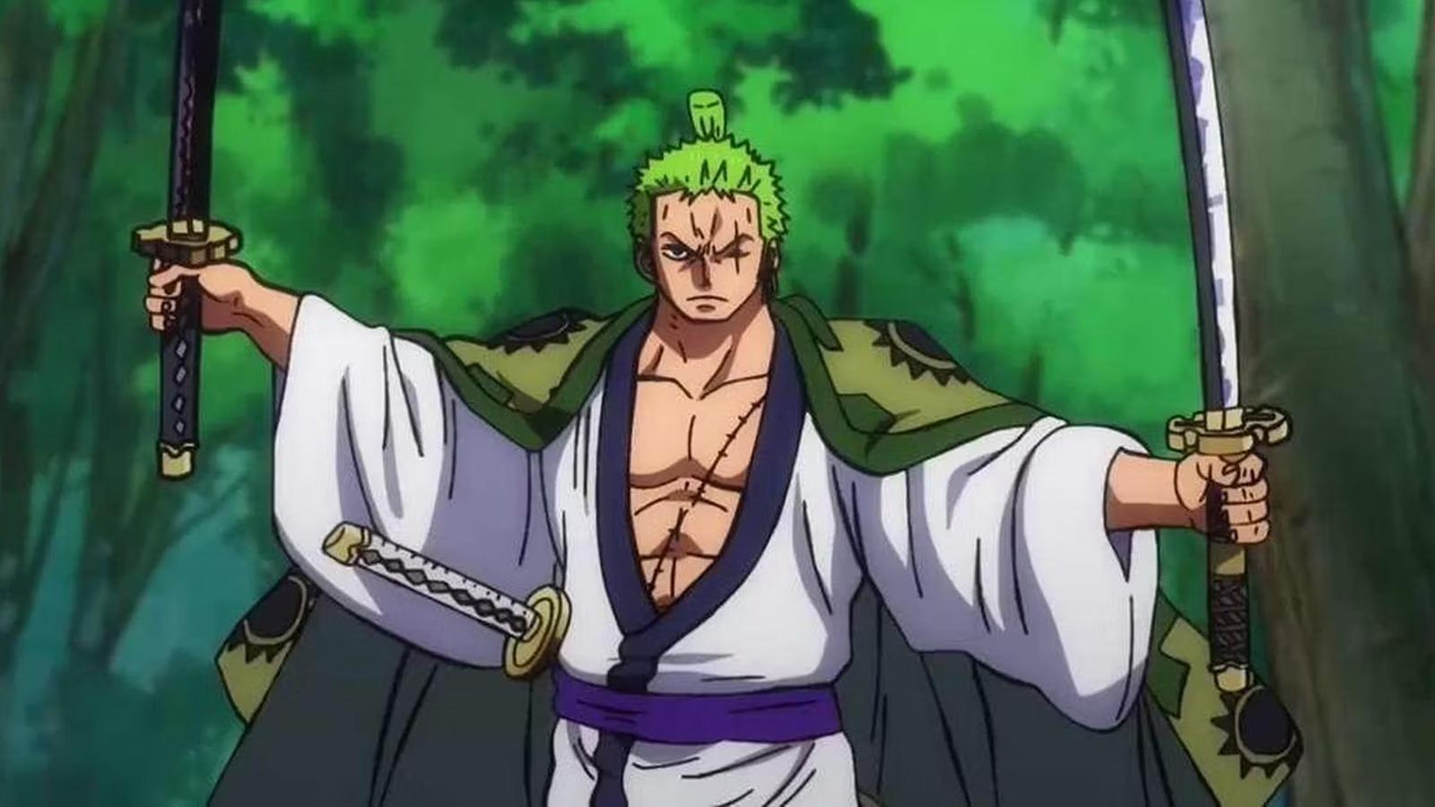 One Piece: What Does Zoro Want From Vegapunk?