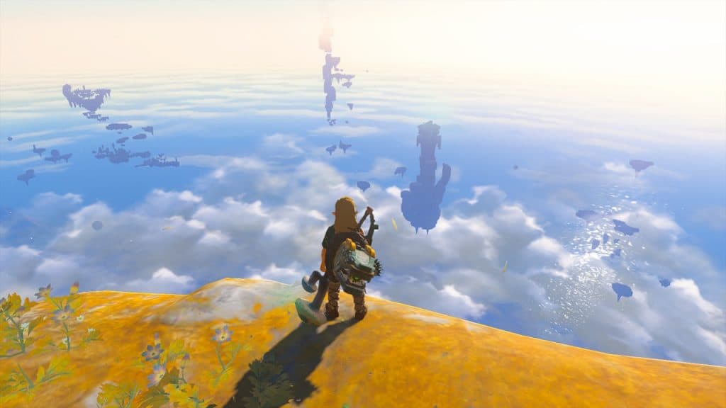 Link looking at Hyrule from a Sky Island