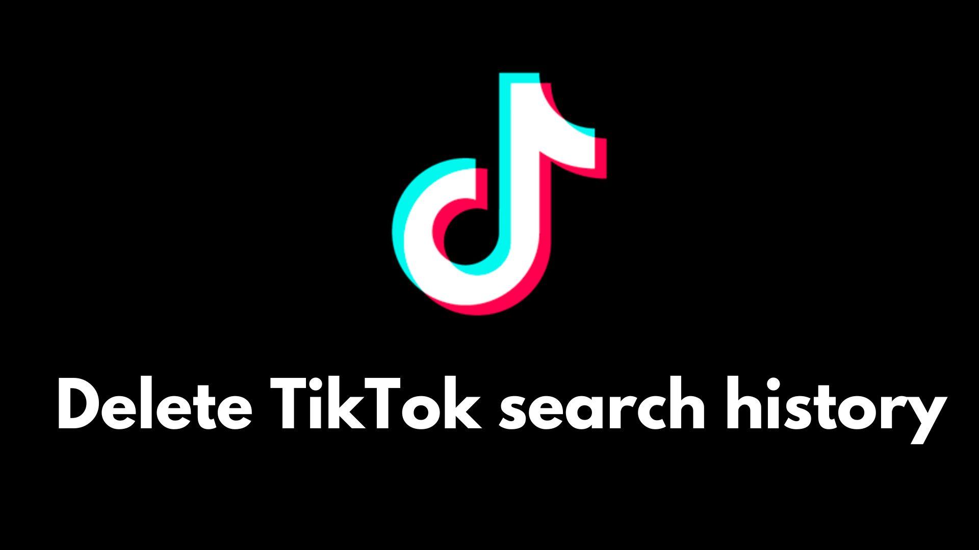 TikTok Search
