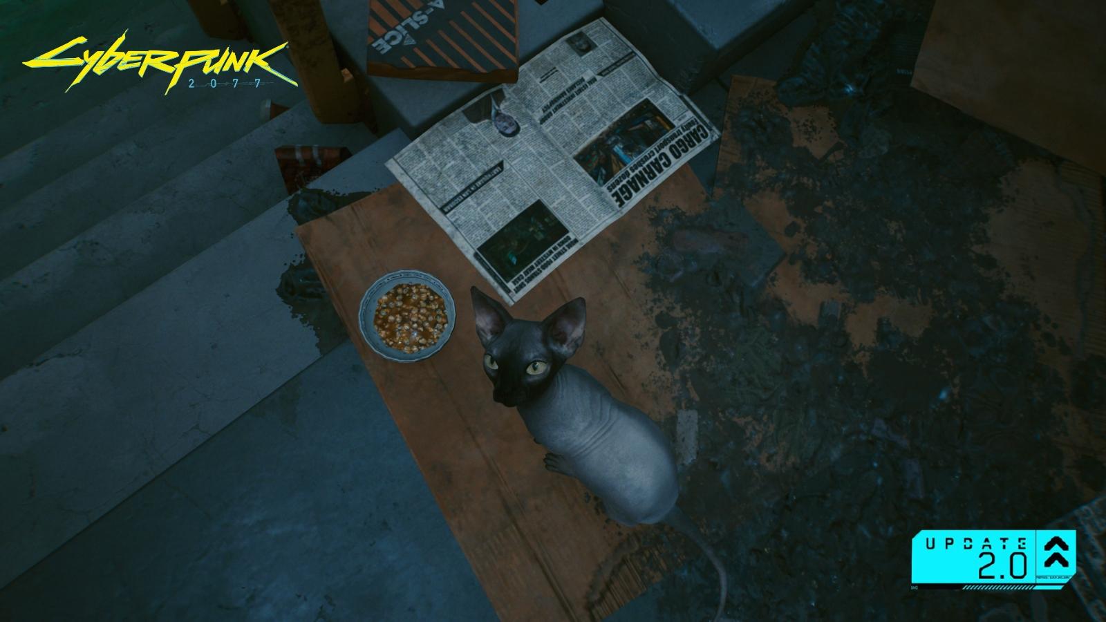 Aww, cats get a HUD icon now so you don't forget to pet it : r/cyberpunkgame