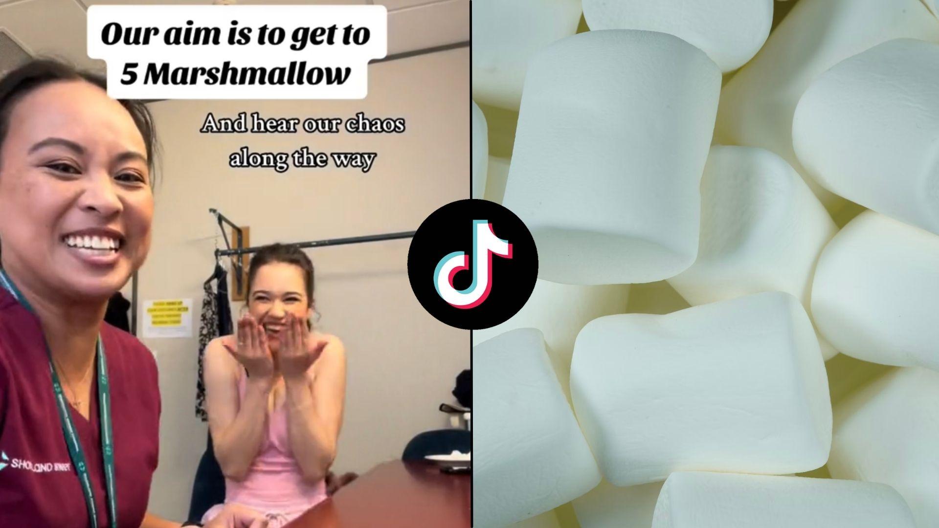 CapCut_d e marshmallow game