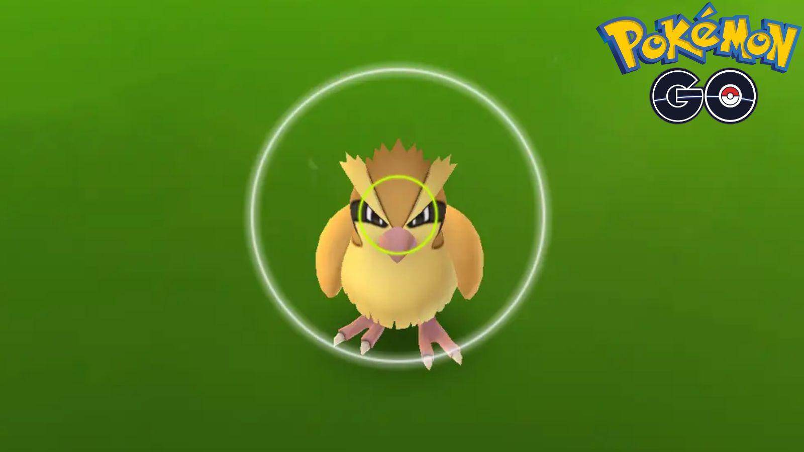 Pokemon Go Seedot Spotlight Hour guide: Can Seedot be Shiny? - Dexerto