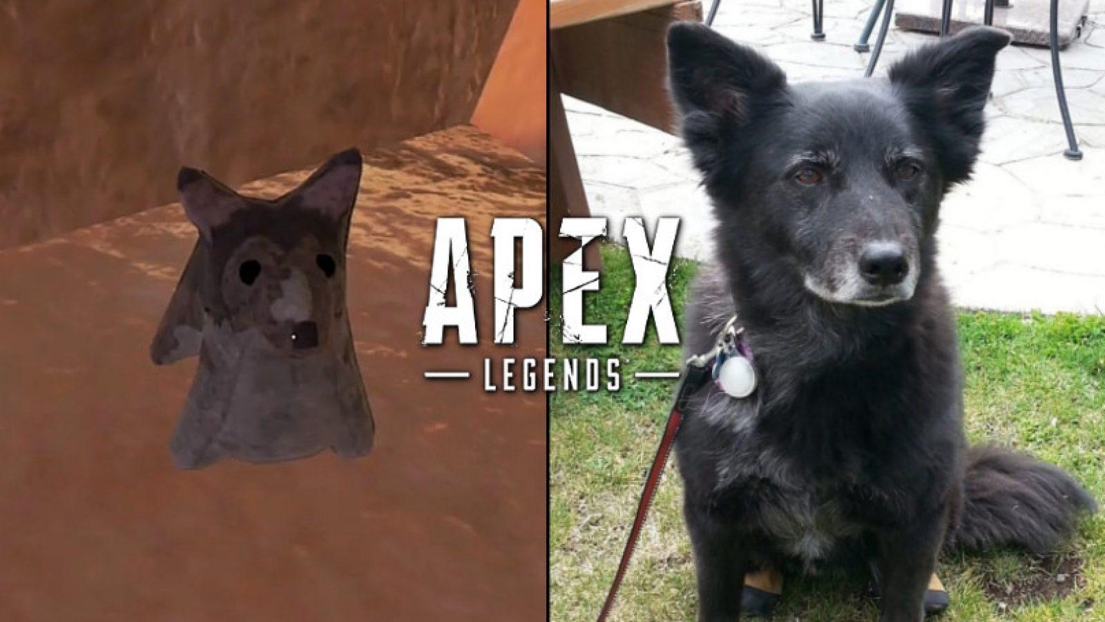 https://www.dexerto.com/cdn-cgi/image/width=3840,quality=75,format=auto/https://editors.dexerto.com/wp-content/uploads/thumbnails/_thumbnailLarge/stuffed-dog-puppy-toy-apex-legends-easter-egg-how-to-find.jpg
