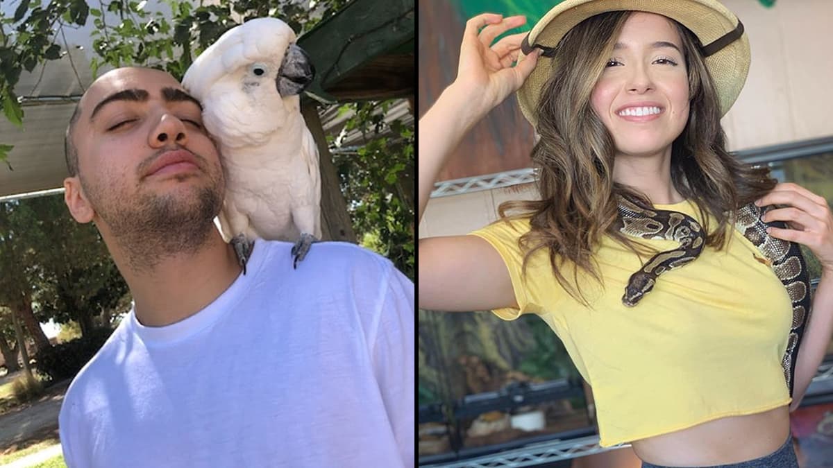 Mizkif/Pokimane (Instagram).