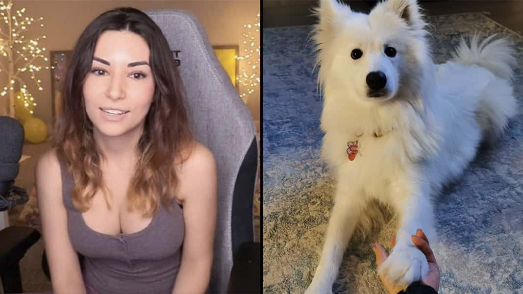 Alinity