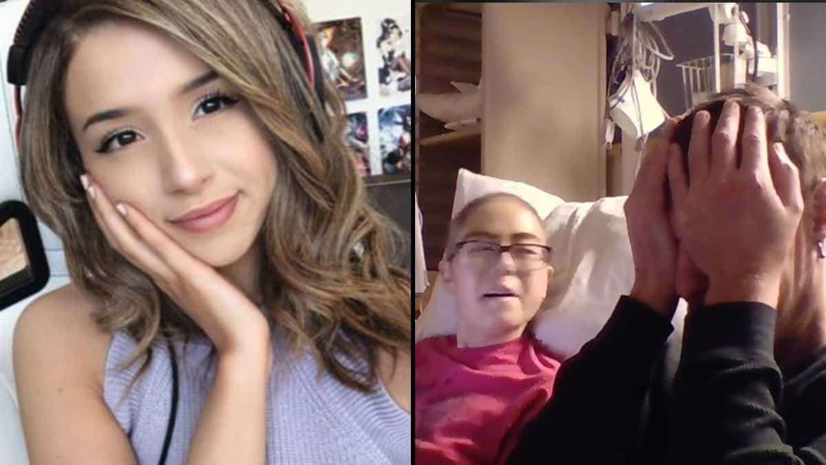 Instagram: Pokimane / Twitch: alecludford