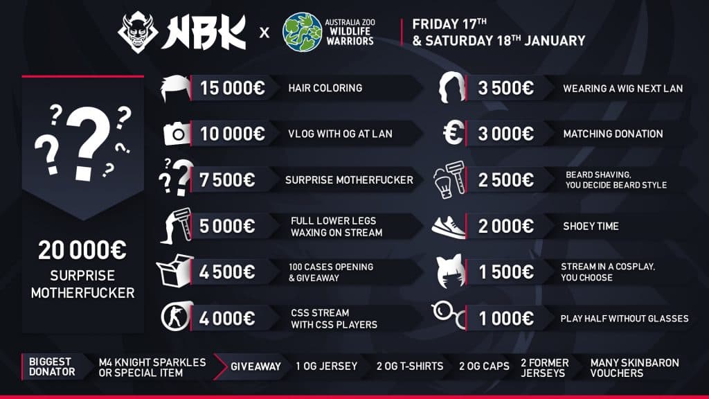 NBK's charity stream goals.