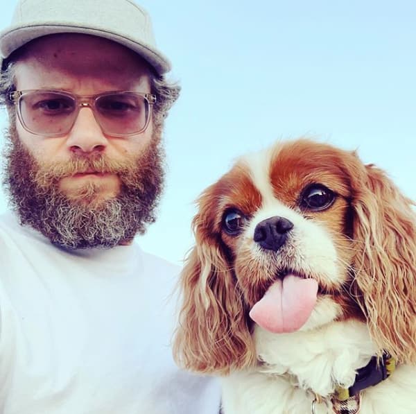 Instagram: sethrogen