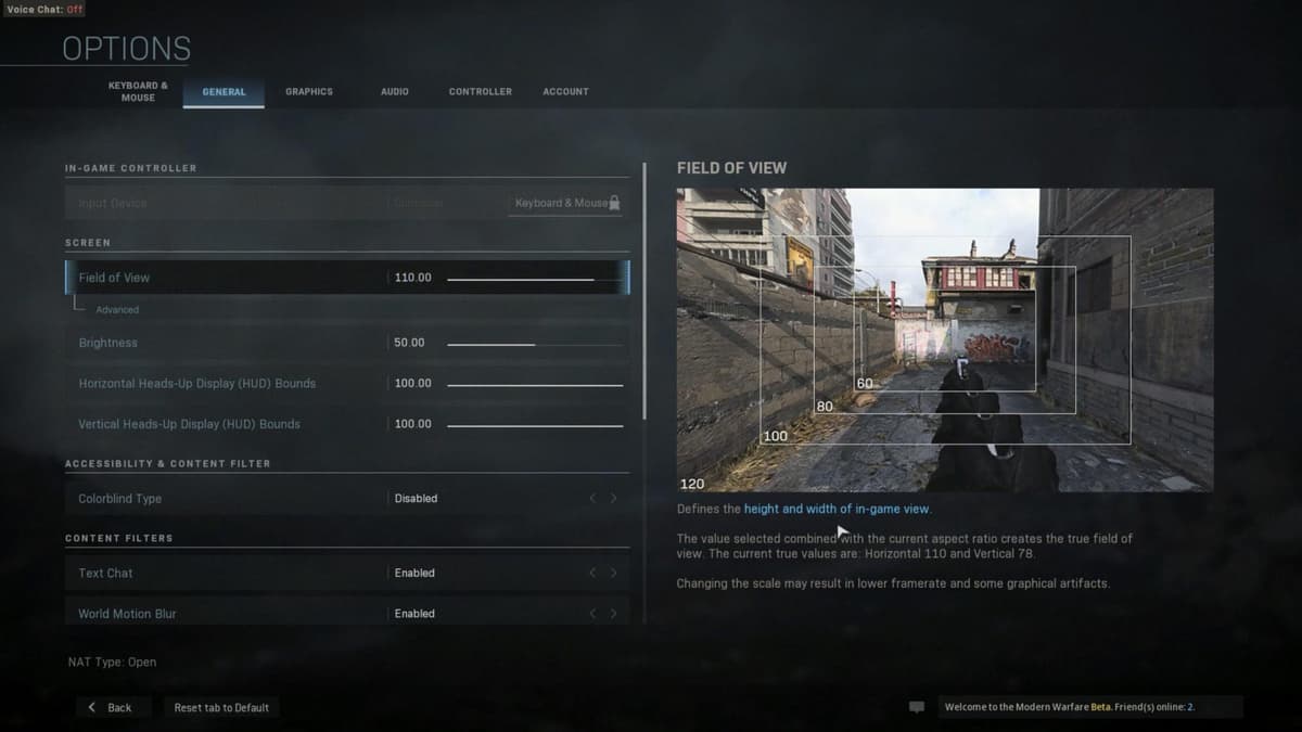 FOV slider option in Modern Warfare on PC.