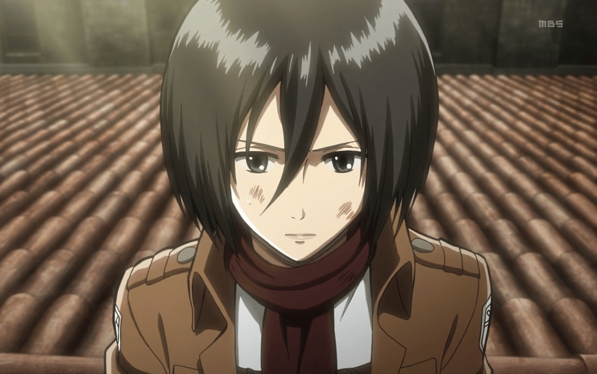 Mikasa Ackerman in Attack on Titan.