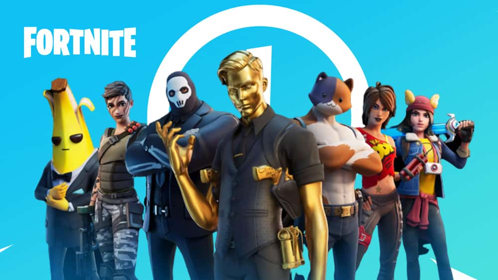 Fortnite Chapter 2 skins