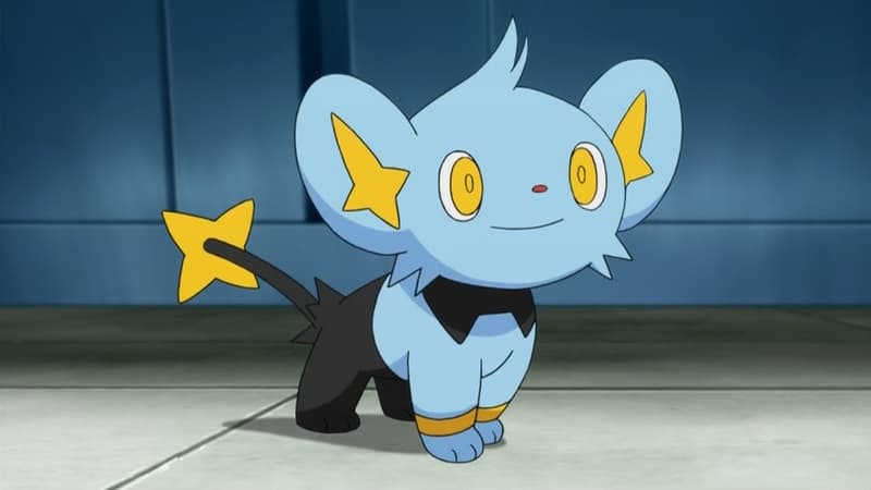 Shinx Pokemon Go