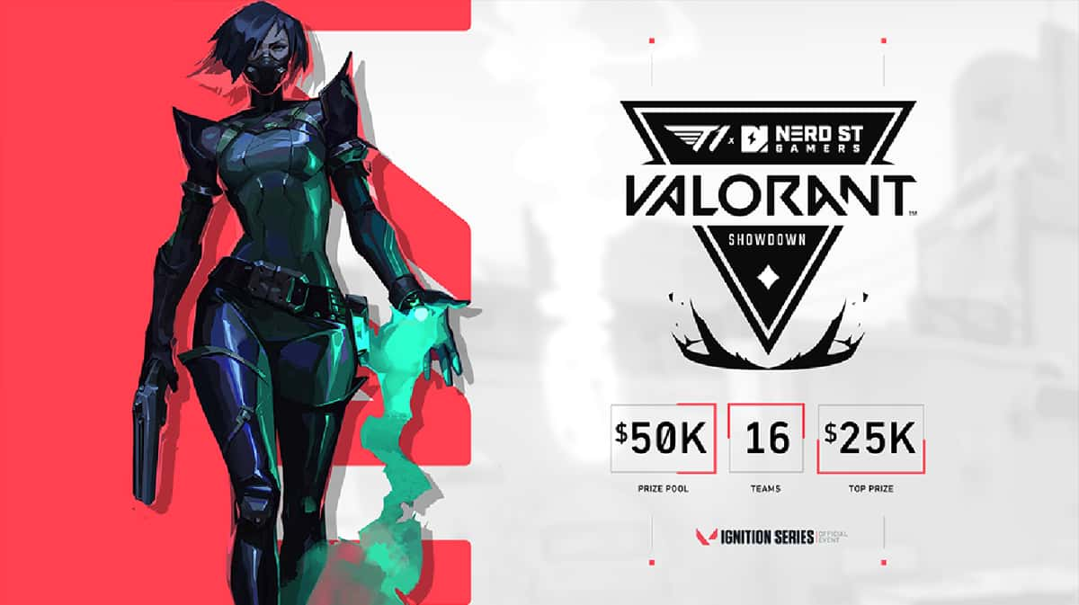 t1 riot games valorant poster