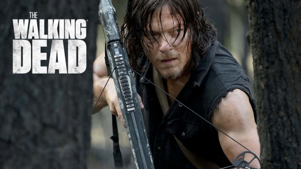 Daryl Dixon walking dead