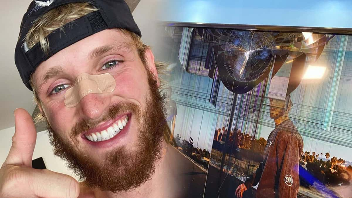 Logan Paul smiles with a bandaid on his nose, side-by-side with a photo of a broken television screen.