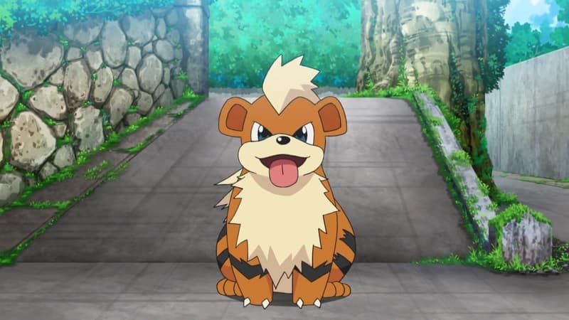 Growlithe Arlo